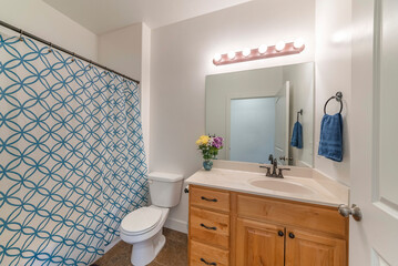 Wall Mural - Bathroom with wooden vanity sink with flower vase and mirror