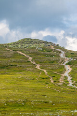 Wall Mural - winding paths to the top of the mountain
