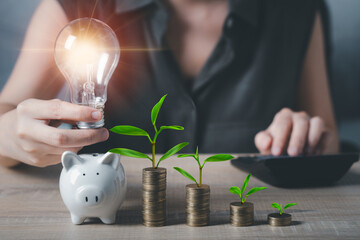 woman have an idea for saving money for future plan concept. business woman holding light bulb on piggy bank with coins and plant growth in to stack and using calculator.