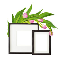 Pink Tulip Flowers Ahd Dark Brown Frames For Cards Isolated On White