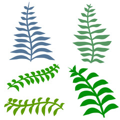 Wall Mural - Fern leaf. Element of nature and the forest. Green bracken plant. Set of Flat cartoon illustration isolated on white