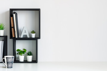 Wall Mural - Home office. Homework. Black square shelves. Succulents as decoration. White wall copy space. Break at work. Coffee.