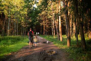 Poster - Child walking with dad on a little forest path with siblings and dog, playing in the forest on a summer day