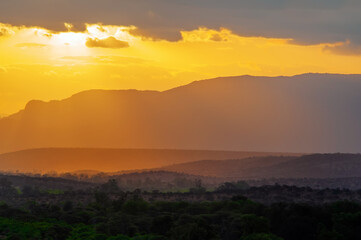 Wall Mural - Sunset in African savannah. Kenya