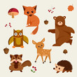 Autumn animal, Cartoon isolated vector icons set