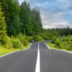 Sticker - Winding road in summer forest, traveling by car