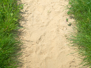 Canvas Print - sandy path