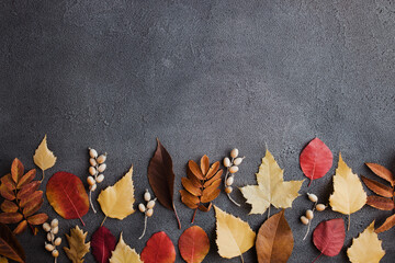 Poster - Autumn background with dried fall leaves border