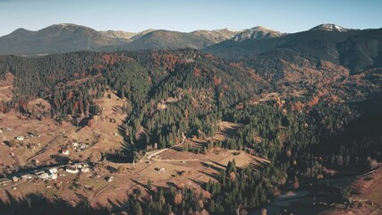 Wall Mural - Aerial yellow and green trees forest in mountains. Sunny autumn weather in mountainous morning countryside. Cinematic drone flight. Travel destinations. Tourism in Pal, Andorra in summer.