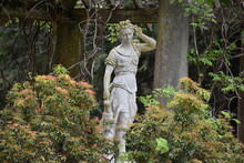 Statue In The Garden