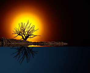 Artificial landscape on the table with a dried tree.