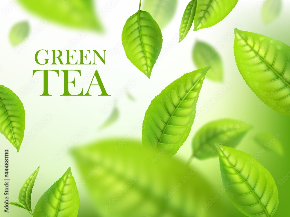 Green tea leaves, organic herbal background, vector template for beverage advertising. Falling 3d green leaves with blurr defocused effect. Realistic poster design with macro plant leaves in motion - obrazy, fototapety, plakaty 