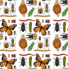 Poster - Seamless pattern with many insects on white background