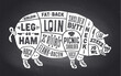 Pork, pig. Scheme, diagram, chart pork, butcher guide. Vintage retro print, art typography. Black-white chalk graphic design on chalkboard. Poster pig for Butcher meat shop. Vector Illustration