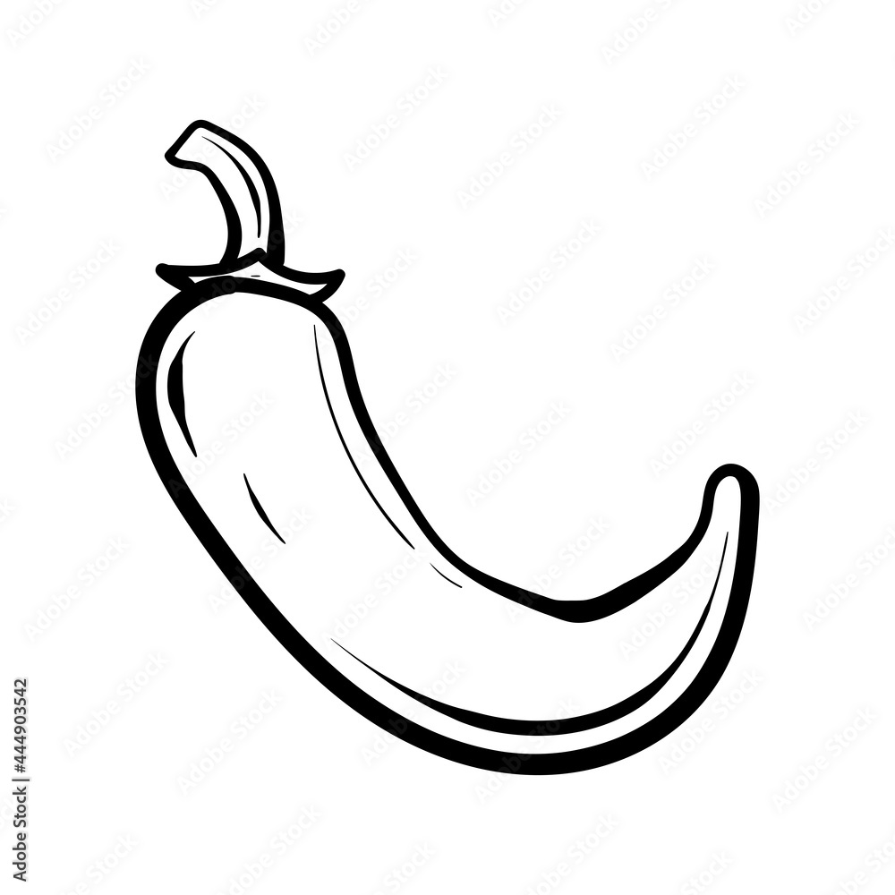 line art chili pepper. Sketch of vegetables isolated on white ...