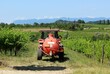 Back view of a manure tank spreader trailed by a tractor among vineyards in summertime. Friuli hills landscape on background.