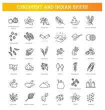 Condiment Icons Set. Outline Set Of Condiment Vector Icons