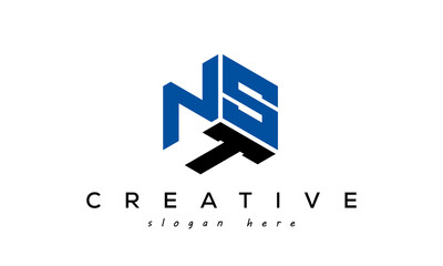 NST three letters creative logo with hexagon