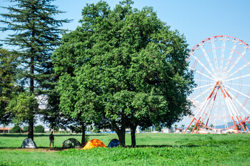 Ferris wheel in the park of Batumi, camping in the amusement park