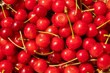 cherry