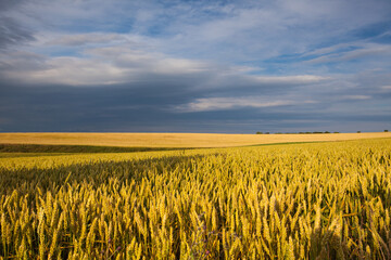 Wall Mural - Before rain in Central Bohemian Uplands