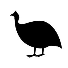 Guinea Fowl Bird, Vector Illustration,  Side View, Black Silhouette