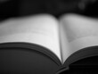 © nachkar - Black and white photo of an open hardcover book
