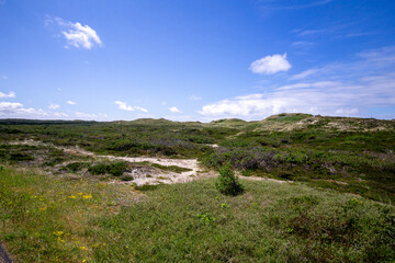 Wall Mural - sylt