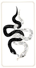 magic snake tarot cards. magic occult esoteric astrology. boho chic tattoo, poster, tapestry or alta