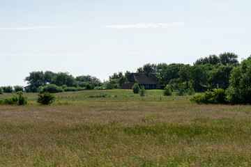 Canvas Print - landscape with house