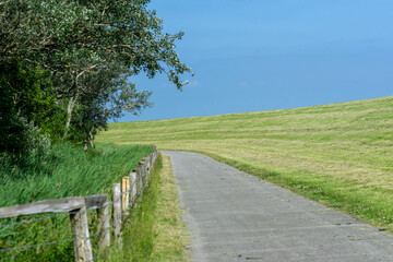 Wall Mural - path in the field