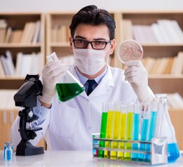 Doctor studying virus bacteria in the lab