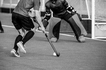 Wall Mural - Close-up on a professional field hockey player.