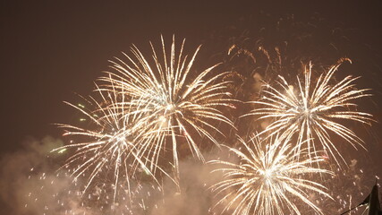 The beautiful firework show in the dark sky