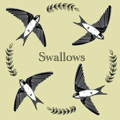 Wall Mural - bird pencil sketch drawing swallows flying vintage art illustration