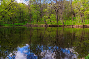 View of a beautiful lake in a green forest