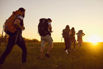 Wall Mural - group of tourists hikers hiking with backpacks in green summer field at sunset during summer vacatio