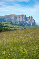 Canvas Print - Idyllic grass meadow landscape in the alps with mountains in background