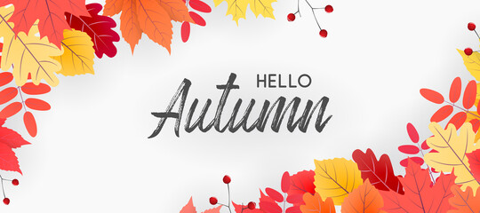 Wall Mural - hello autumn falling leaves. autumnal foliage fall and poplar leaves. autumn design. templates for p
