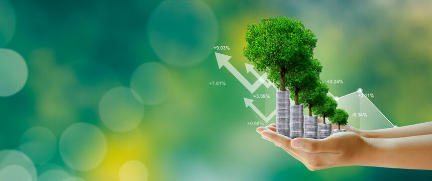 Wall Mural -  - Businessman hand holding step of coins stacks with tree growing on top in nature green background. Money saving, investment, family planning, money growth, business success Concept.