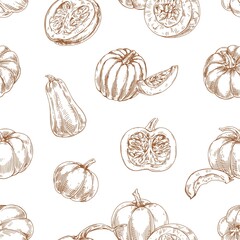 Fototapete - Seamless autumn pattern with outlined pumpkins and squashes on white background. Repeating contoured vintage botanical drawing with fall vegetables. Hand-drawn vector illustration for printing