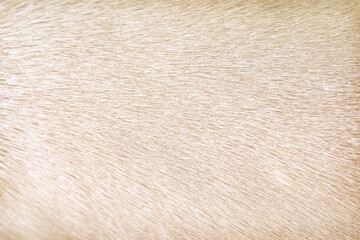 animal fur texture of dog with light brown seamless patterns background
