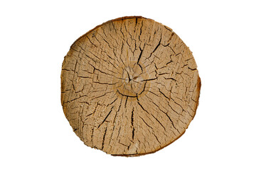 Poster - birch trunk with cracks. wood texture. round cut tree isolated on white background