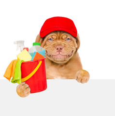 Poster - Cleaning concept. Smiling puppy wearing red cap holds bucket with  washing fluids and rags in paws above empty white banner. isolated on white background