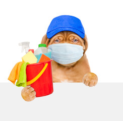 Poster - Puppy  wearing medical protective face mask and red hat  looks above empty white banner and holds bucket with  washing fluids and rags in paws. isolated on white background