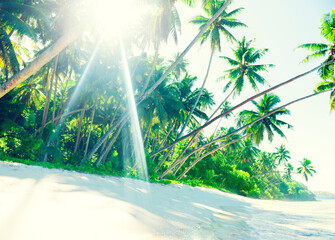 Wall Mural - Tropical beach on Samoa