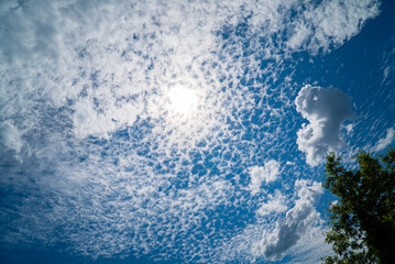 Wall Mural - .beautiful summer landscape outdoors, nice clouds