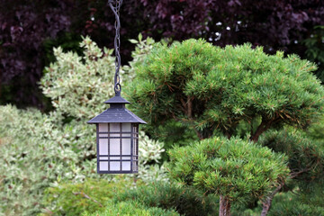 Sticker - Beautiful lamp hanging in the garden