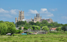 Ely Cathedral With Railway Bridge And Meadow In Foreground