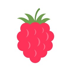 Poster - raspberry food icon flat isolated vector